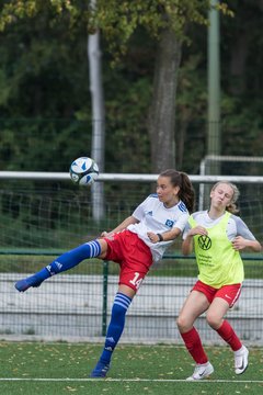 Bild 49 - C-Juniorinnen HSV - Walddoerfer : Ergebnis: 9:1